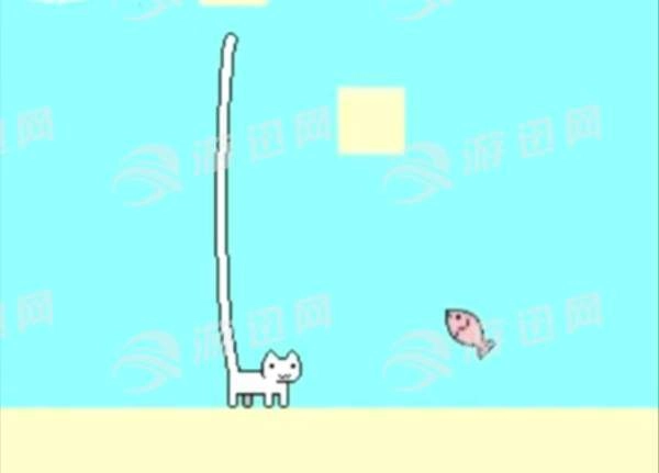 猫里奥行动
