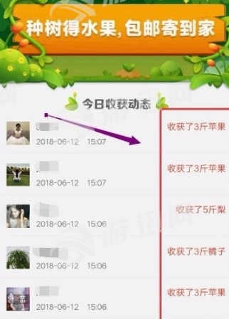 多多果园软件安卓直装版图1