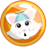 小猫泡泡