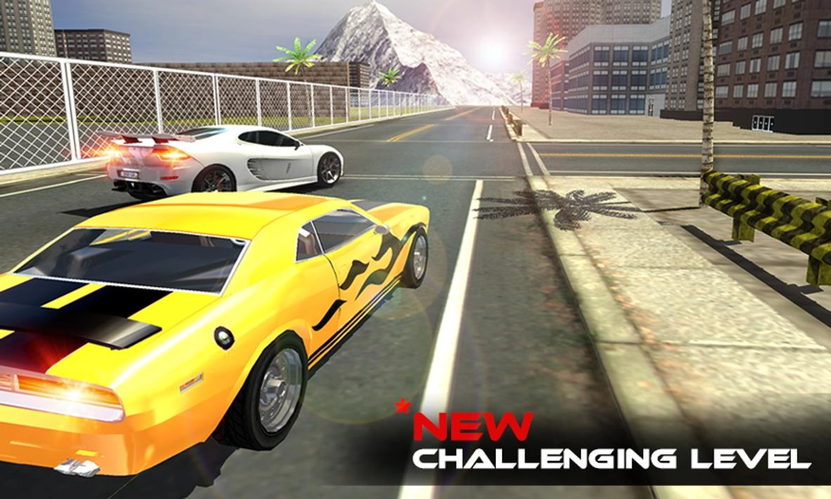 飞机飞行员车汉化版