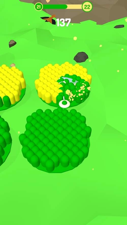 活力染色王-图1