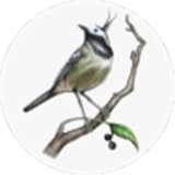 画个故事 V1.0.10