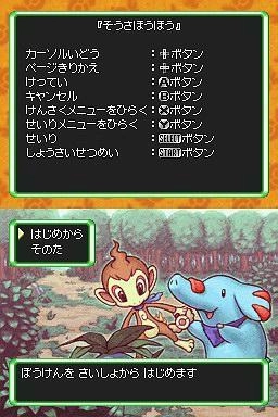 口袋妖怪组队技巧：白色恶魔搭档方案