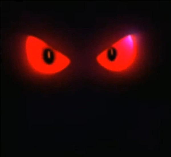 《口袋铁拳锦标赛》耿鬼加入战局可爱又带邪气的小家伙