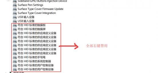 《仁王》键鼠操作卡顿如何解决？实用解决办法分享