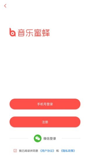 音乐蜜蜂(2)