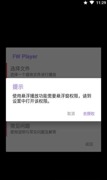 FW播放器免费原版图2