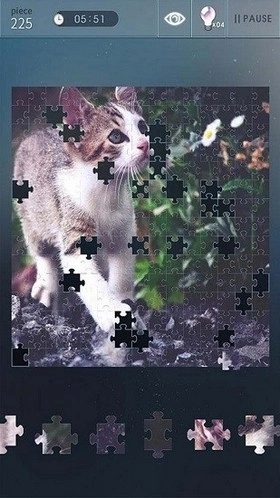 益智拼图世界图2