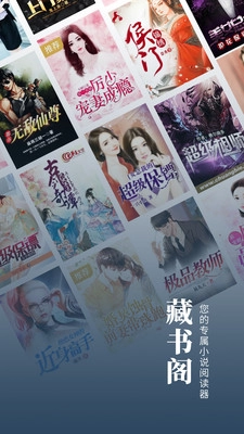 藏书阁直装版图3
