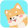 柴犬记账