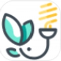 墨灯光强 V1.5.12
