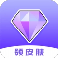皮肤助手