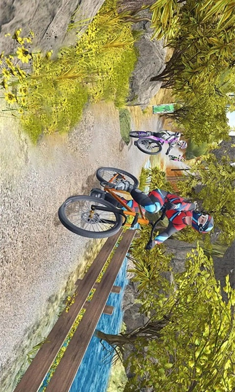 模拟登山自行车图3