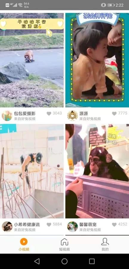 红小狗视频直装版图2