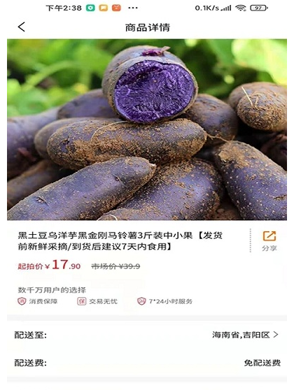 佐拍拍原版图3