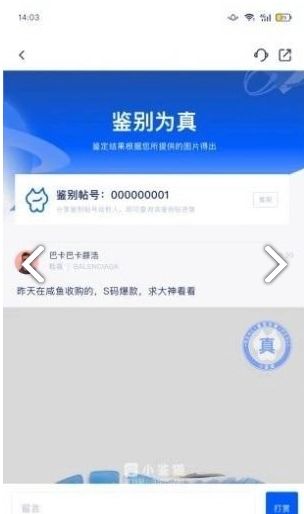小鉴猫图4