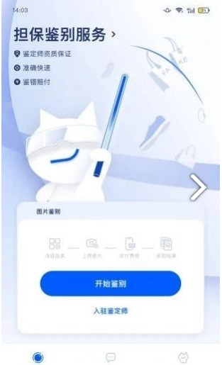 小鉴猫图1
