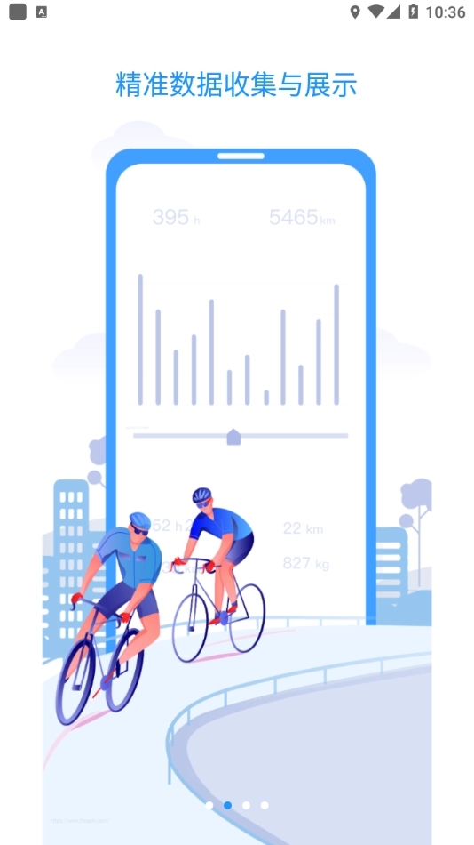 Bikewise Pro