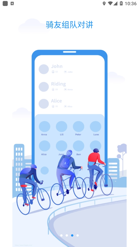 Bikewise Pro