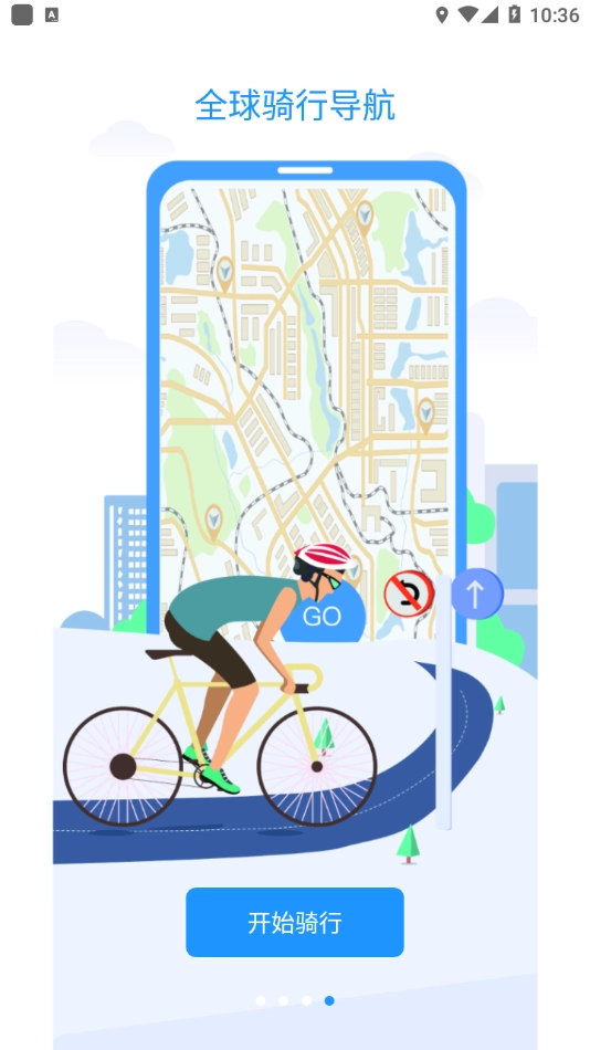 Bikewise Pro