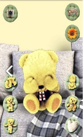 会说话的毛绒熊图2