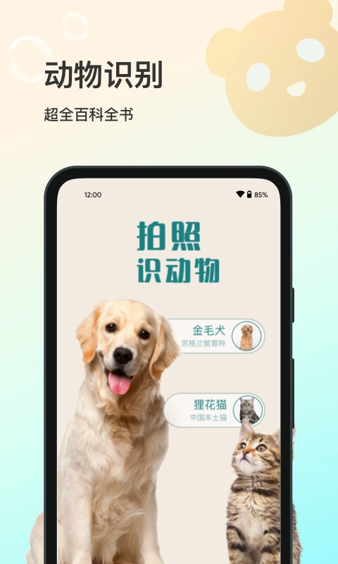 花卉识别图5