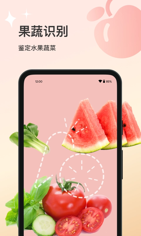 花卉识别图4