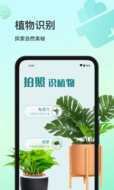 花卉识别图3