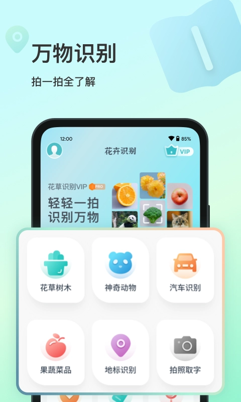 花卉识别图1