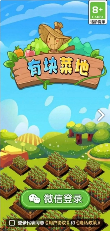 有块菜地