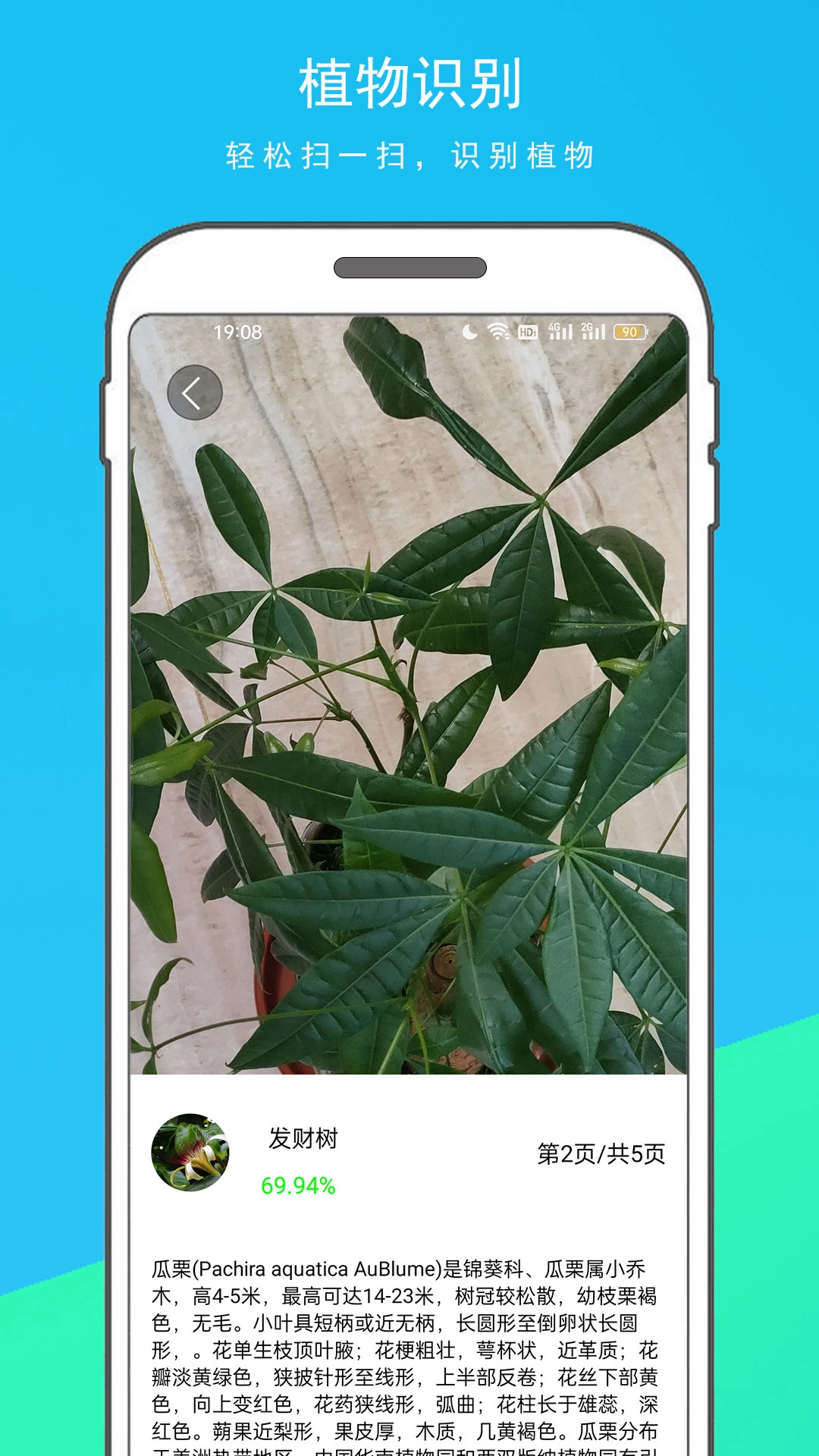 拍图识物图3