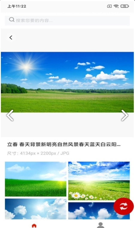 白鸽壁纸原版图4