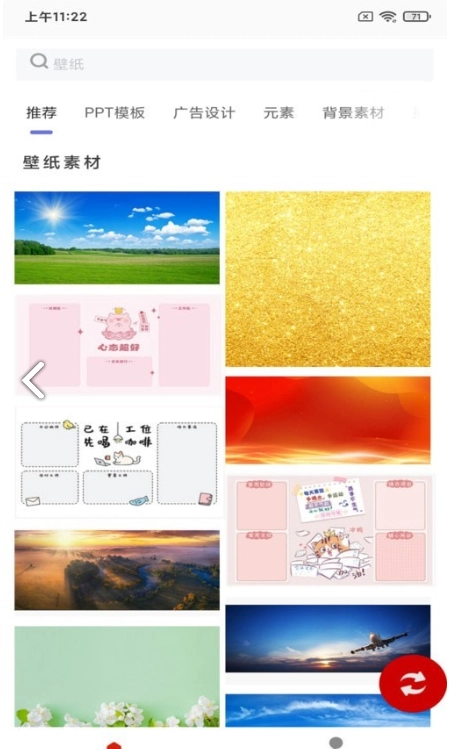 白鸽壁纸原版图2