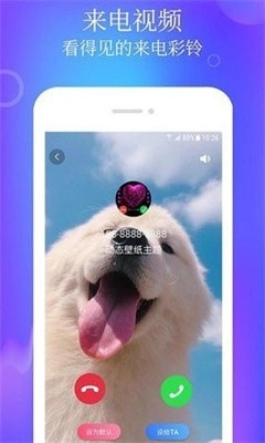 闪闪动态壁纸主题安卓直装版
