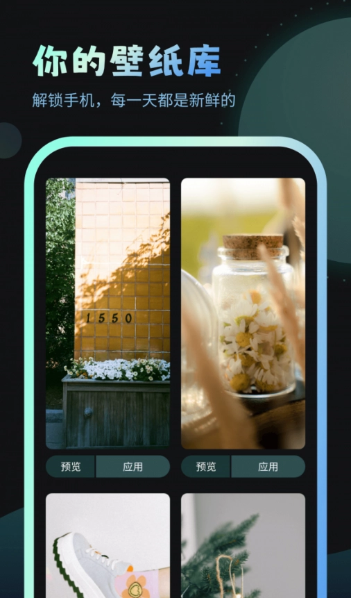 妙趣壁纸