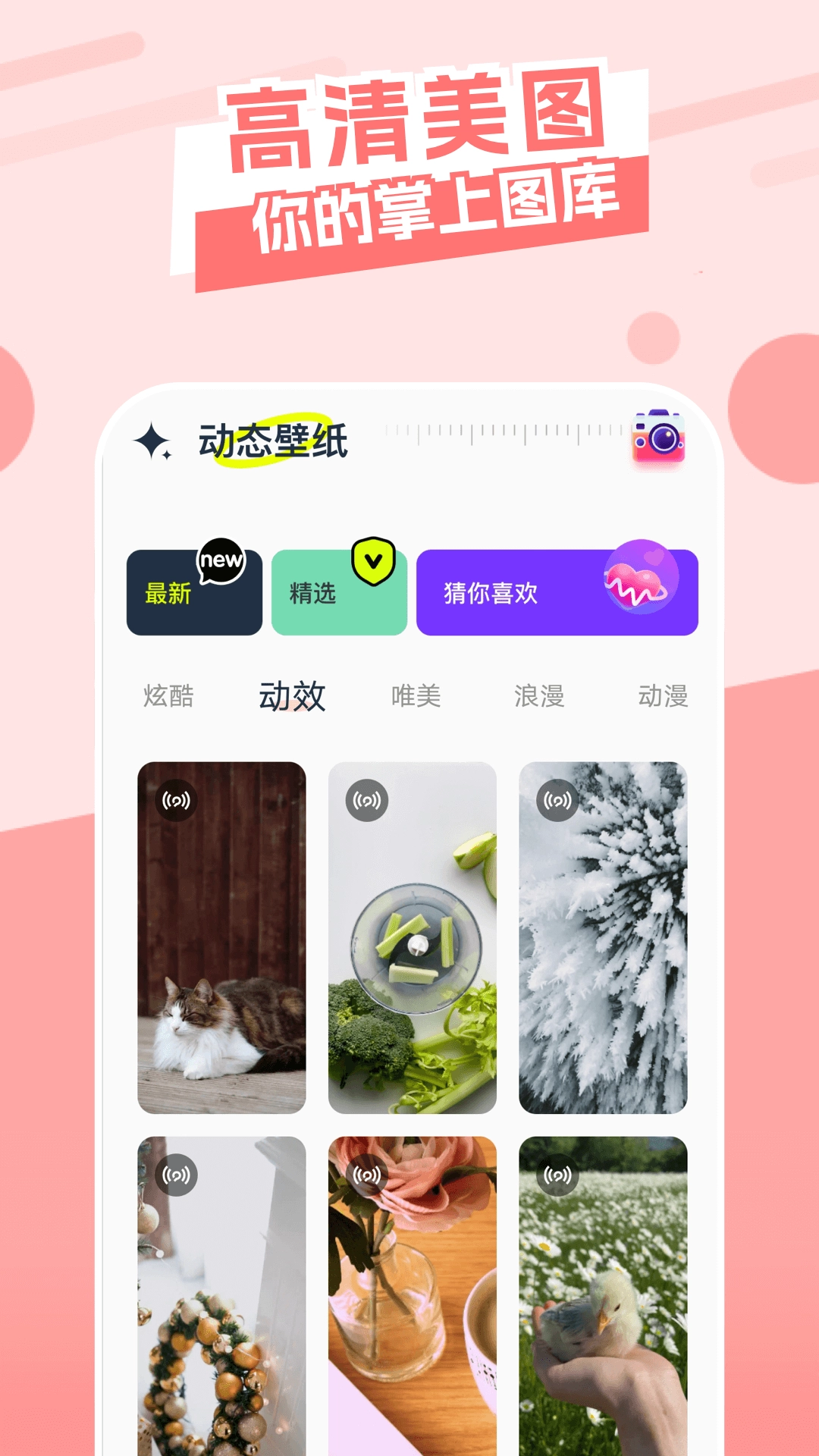 主题库顺来图4