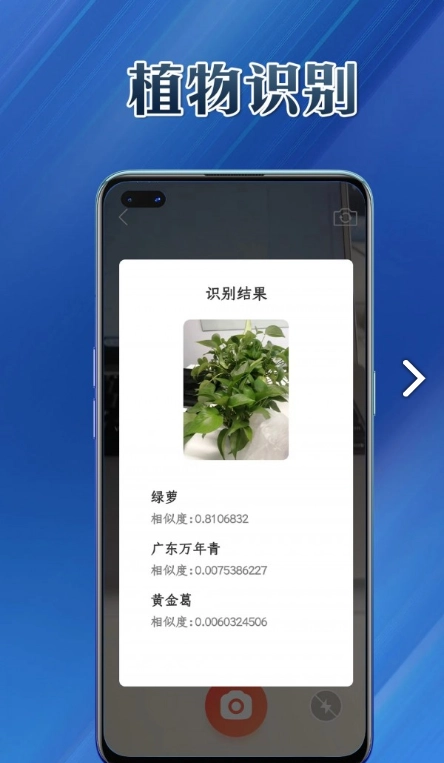 提效大师安卓直装版图1