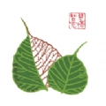 华膜商城 V1.0.2