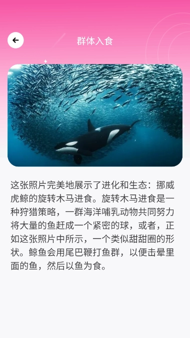 千颜秀官方版