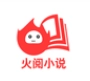 火阅小说