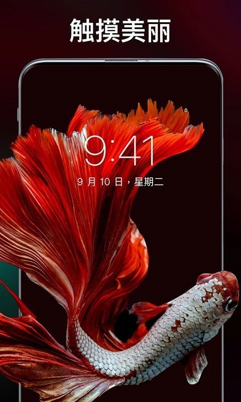 灵猫壁纸大全直装版