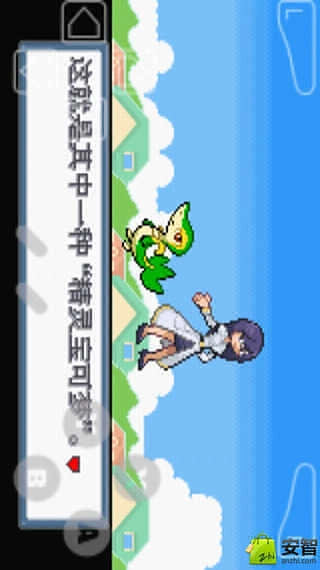 口袋妖怪白金光2