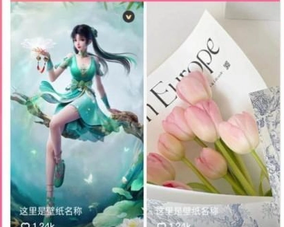 可心壁纸官方版下载
