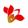 峄览最新免费版 V1.5