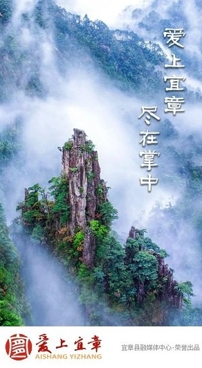 爱上宜章安卓版图1