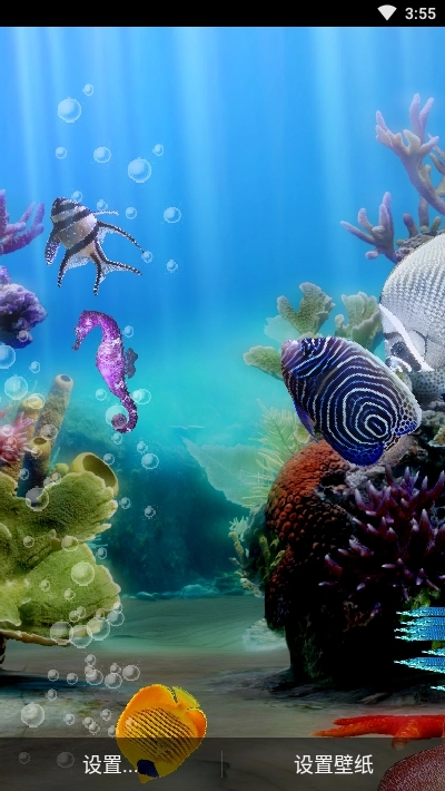 真正的水族馆Therealaquarium动态壁纸手机最新版图2