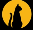 黑猫盒子游戏纯净最新版