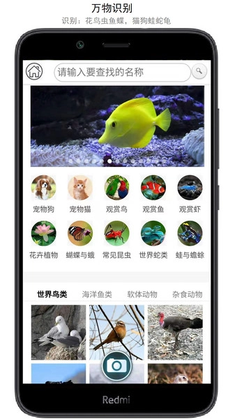 万物识别