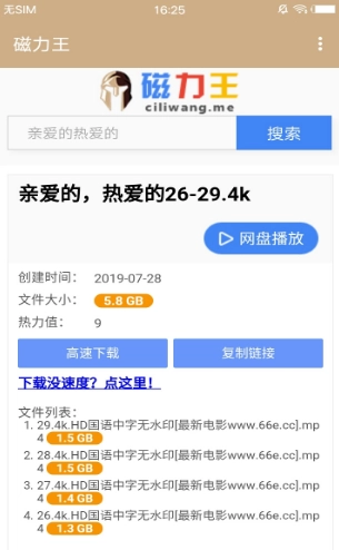 磁力王1