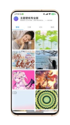 主题壁纸专业版(1)